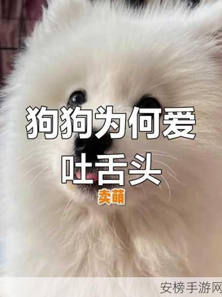 一边伸舌头一边快速喘气文字：狗狗热天吐舌降温