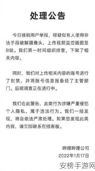 b站禁止转播外网入口：哔哩哔哩限制海外平台内容转播