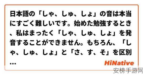 ずぜじそずそちがご的意思：ずそぜじそちがご語の解説