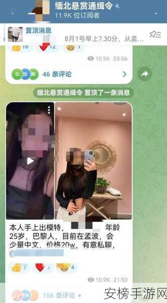 缅北网站浏览器：缅甸特区网页助手