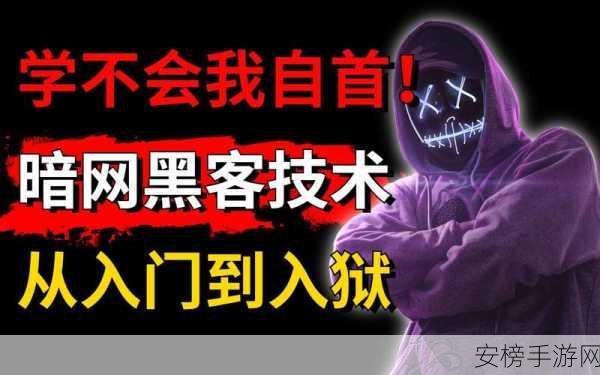 匿名黑客模拟器：暗网入侵者