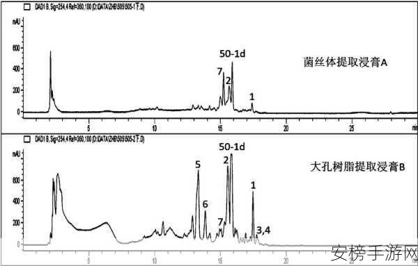 17c12.c起草：17c12.c文件起草