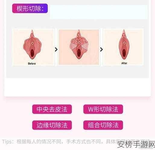 羞羞免费网页登界面入口：私密在线平台访问入口