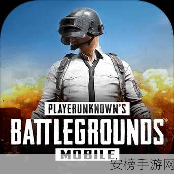 国外b站刺激战场直播平台：海外PUBG Mobile游戏直播聚集地