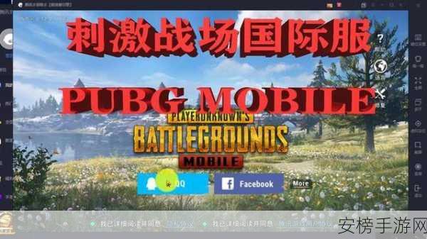 国外b站刺激战场直播平台：海外PUBG Mobile游戏直播聚集地