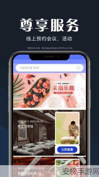 暗网app：匿名网络应用