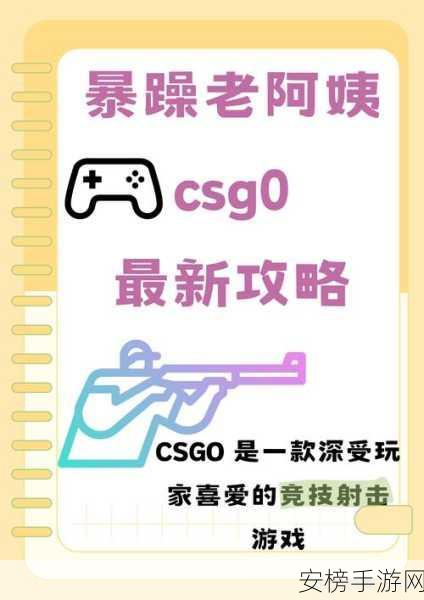 csgo暴躁少女的CSGO技巧：CSGO女神的实战心得与技巧分享