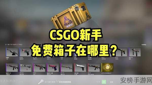 csgo一个箱子一个钥匙多少钱：CSGO开箱花费详解：钥匙+箱子组合价格分析