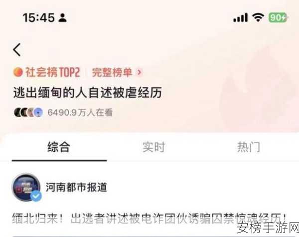 缅甸北部恐怖血腥网站www软：缅北非法网络犯罪调查报告