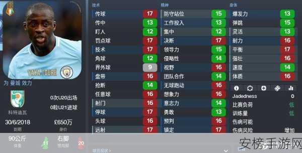 fm2012 妖人前锋：FM2012 最强潜力锋霸