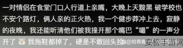 红领巾911爆料网八卦有理：校园八卦揭秘：红领巾爆料平台纪实