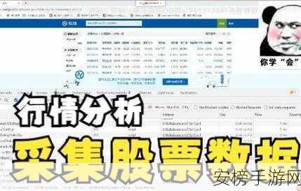 免费的行情网站入口免下载：实时股票行情查询平台 - 在线直达