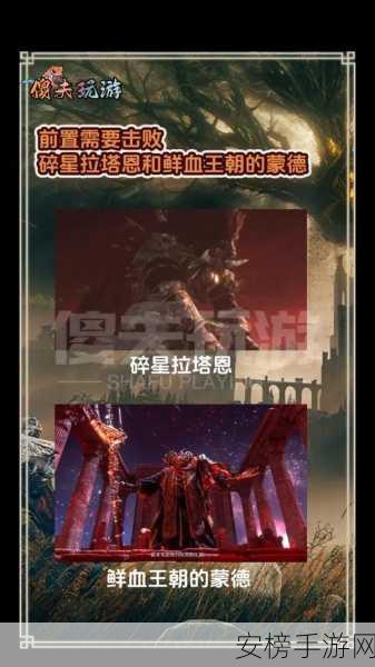 艾尔登法环黄金树之影 DLC，深度解析黄金树庇护减伤数值