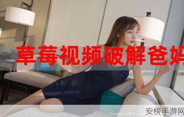 草莓视频污下载安装：草莓影视精选版