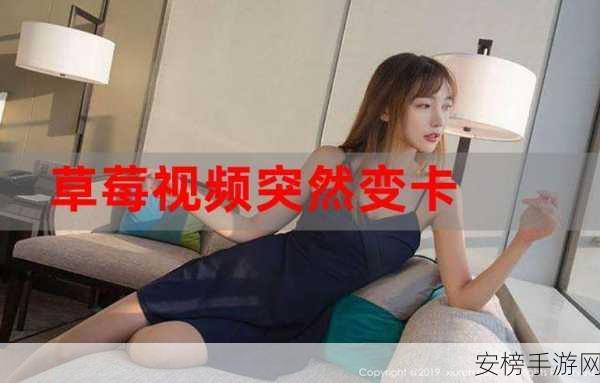 草莓视频vip：甜心影视会员