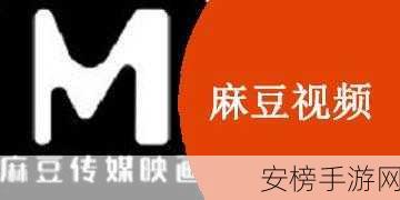 麻豆视传媒官网直接进入免费：正规影视平台免费观看