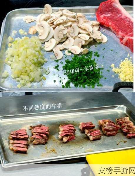 烹饪250后去哪提升：厨艺进阶：突破250关后的烹饪之路