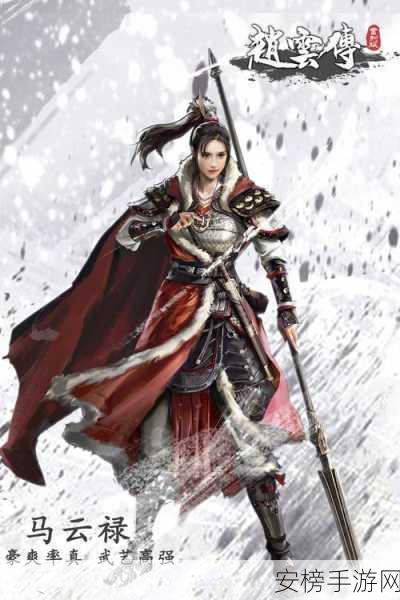 赵云传云汉腾龙最强武器：赵云战记：腾龙御风战神器