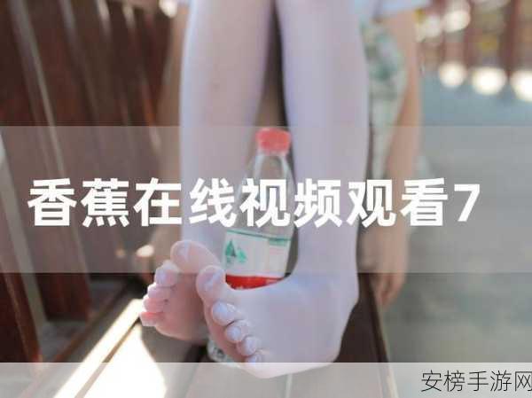 香蕉视频一区：香蕉视频精选