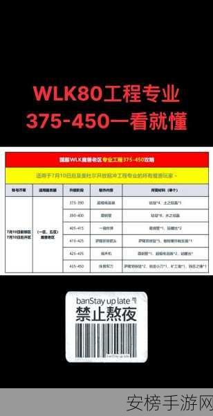 工程学300-450攻略：工程学职业发展全攻略：300-450级进阶指南