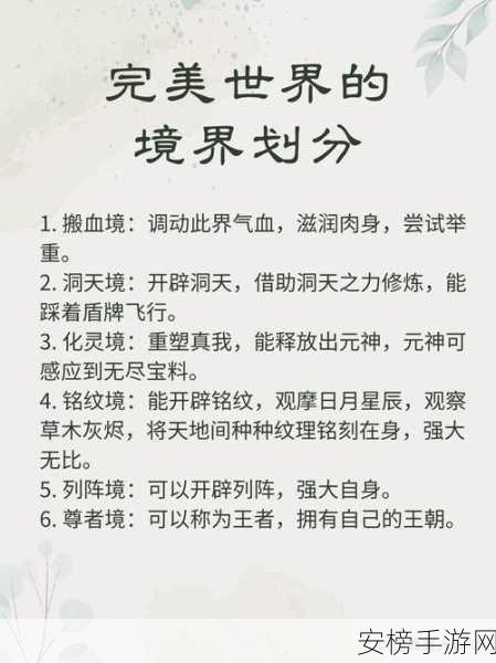 完美世界境界等级大揭秘，详细划分与深度解析