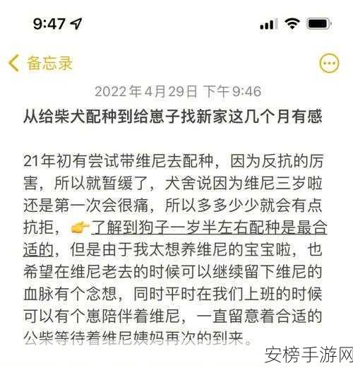 人狗胶配方大全狗狗：宠物犬专用配种指南