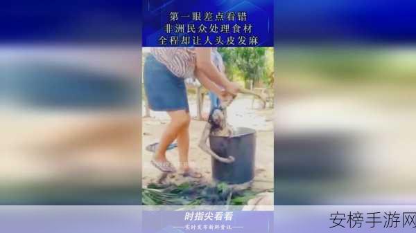 八卦有理-爆料无罪红领巾瓜报：八卦观察站-热点真相大揭秘