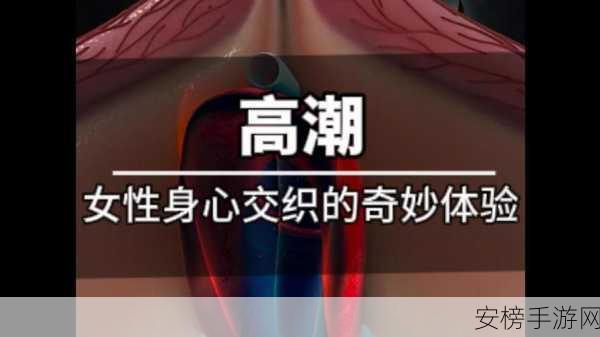 放里面不动女人什么感觉：体验女性内部的奇妙感受