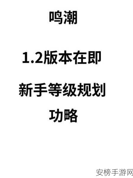 鸣潮天上掉馅饼二任务终极解密指南