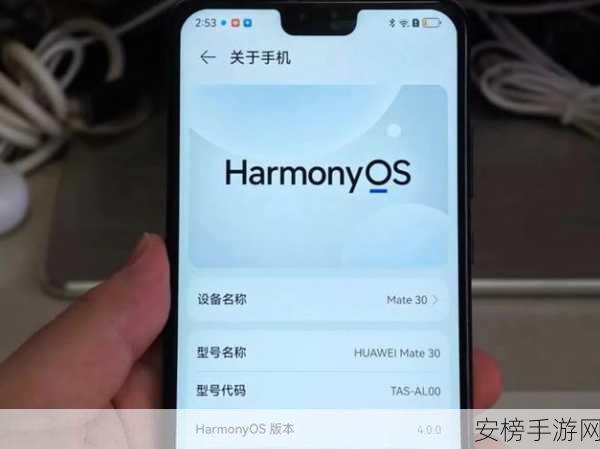 欧美无mate30pro巨：欧美市场缺席，mate30pro依然强势