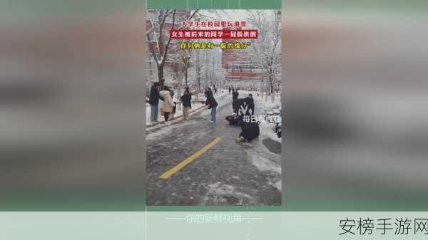 拔萝卜打牌不盖铺：欢乐农事：拔萝卜与纸牌的奇妙时光