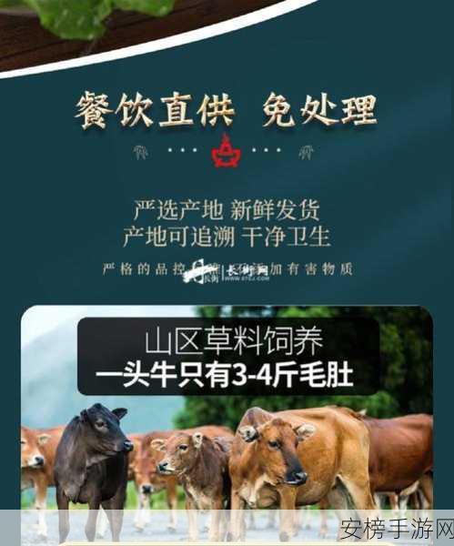 获得超级肉禽系统的小说：超凡养殖：我的禽类帝国