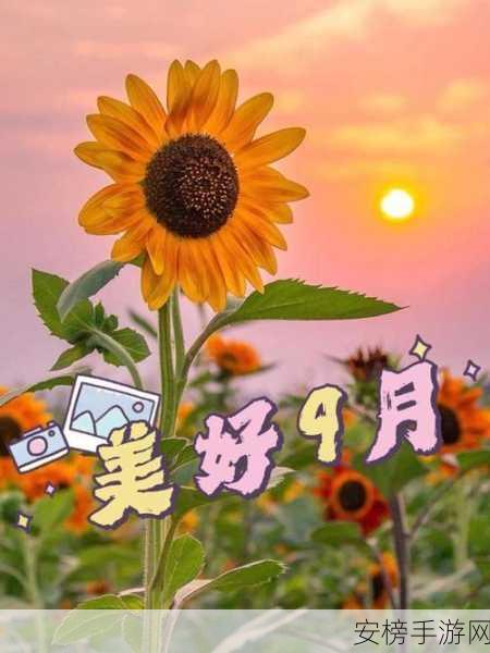 9.1快看：9月精选推荐