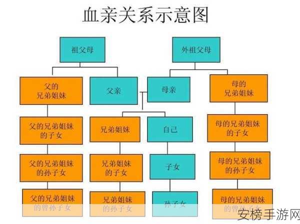 男人和女人生猴子软件：亲子关系鉴定分析系统