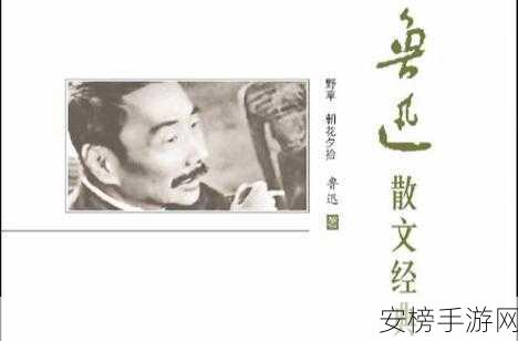 鲁大师在线观看资源：鲁迅经典作品在线阅读