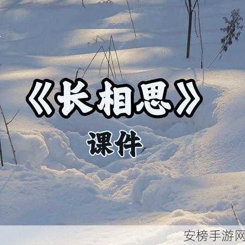 久久二三四：长相思二三四