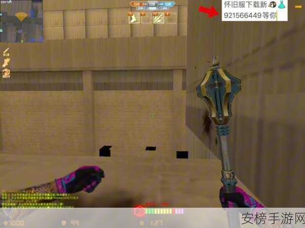 55岁大妈玩csgo：银发电竞达人：55岁奶奶的反恐突击