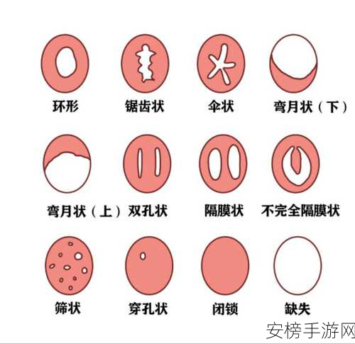 破處女特級A片：青涩年华的私密记录