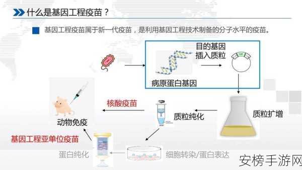 人马畜禽CROPER：动物基因编辑技术探索