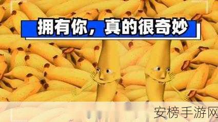 香蕉视频免费：精彩视频随心看