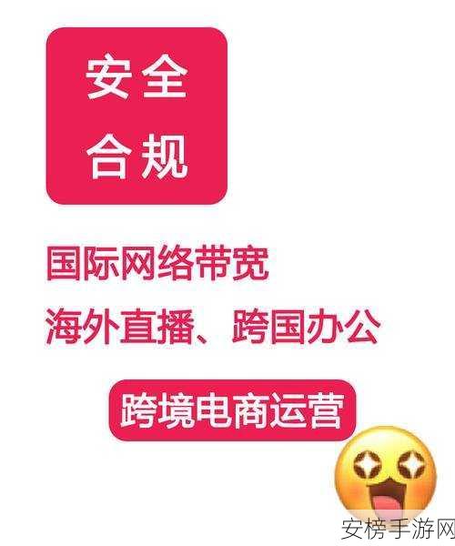 TIKTOK海外直播网络专线：TikTok全球直播专属网络通道