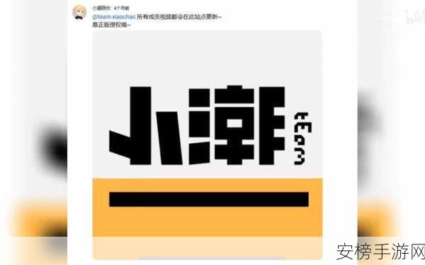 小鲜肉的大logo：潮牌大标识