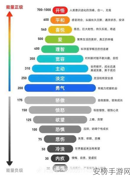 人与狗的dna播放方式：基因密码：人类与犬类的生命演奏曲