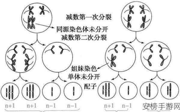 综合一和综合二图片区别在哪：综合一与综合二图像的差异对比