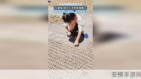 100款拔萝卜打扑克不盖被子：解压解闷：游戏狂欢大集合