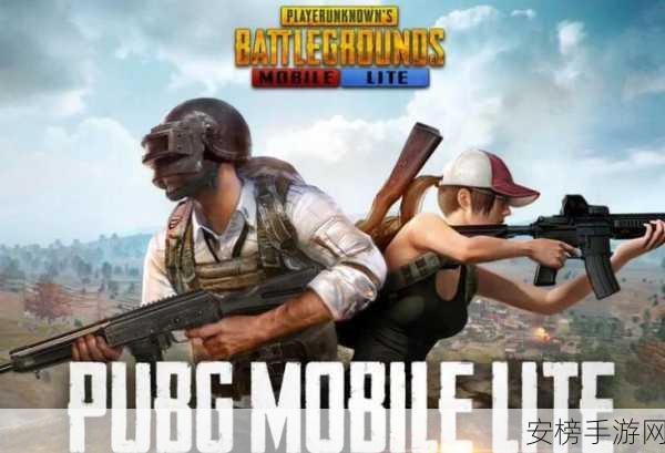 PUBG国际服手游下载全攻略，解锁极致吃鸡体验，赛事细节大揭秘