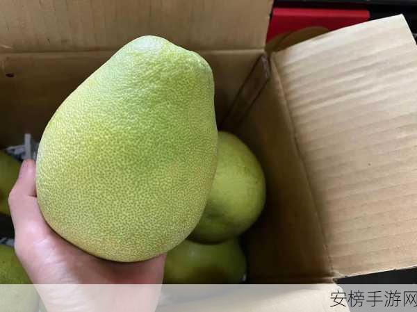 麻豆精产国品一二三产区吗：麻豆文旦柑橘产地直供专区