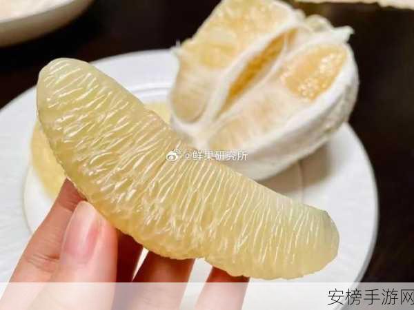 麻豆精产国品一二三产区吗：麻豆文旦柑橘产地直供专区