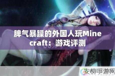 暴躁老外玩minecraft中国：Request error occurred：