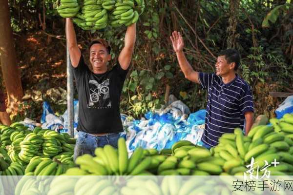 苏州香蕉视频：苏州本地影像集锦